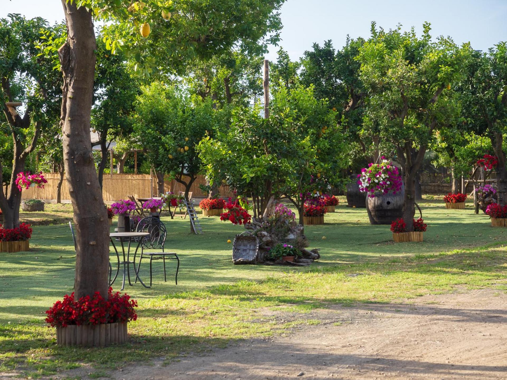 Giardino Di Nonno Lucio - Surrounded By Lemon Tree Villa Piano di Sorrento Buitenkant foto