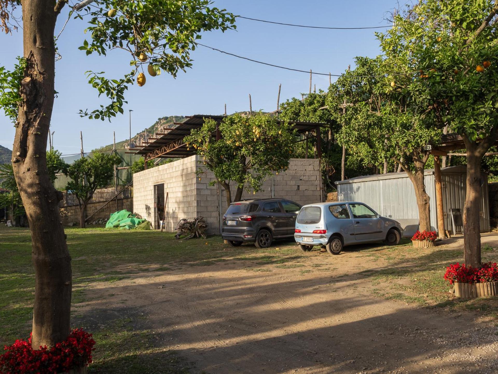 Giardino Di Nonno Lucio - Surrounded By Lemon Tree Villa Piano di Sorrento Buitenkant foto