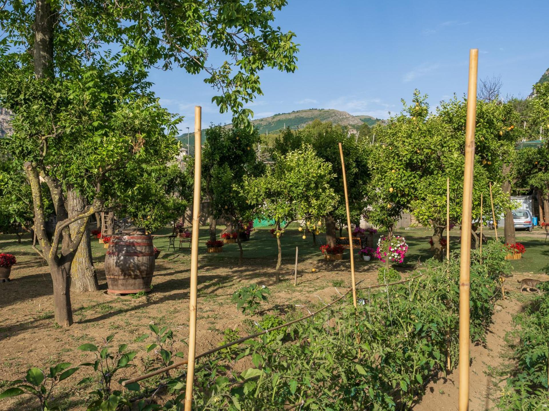 Giardino Di Nonno Lucio - Surrounded By Lemon Tree Villa Piano di Sorrento Buitenkant foto