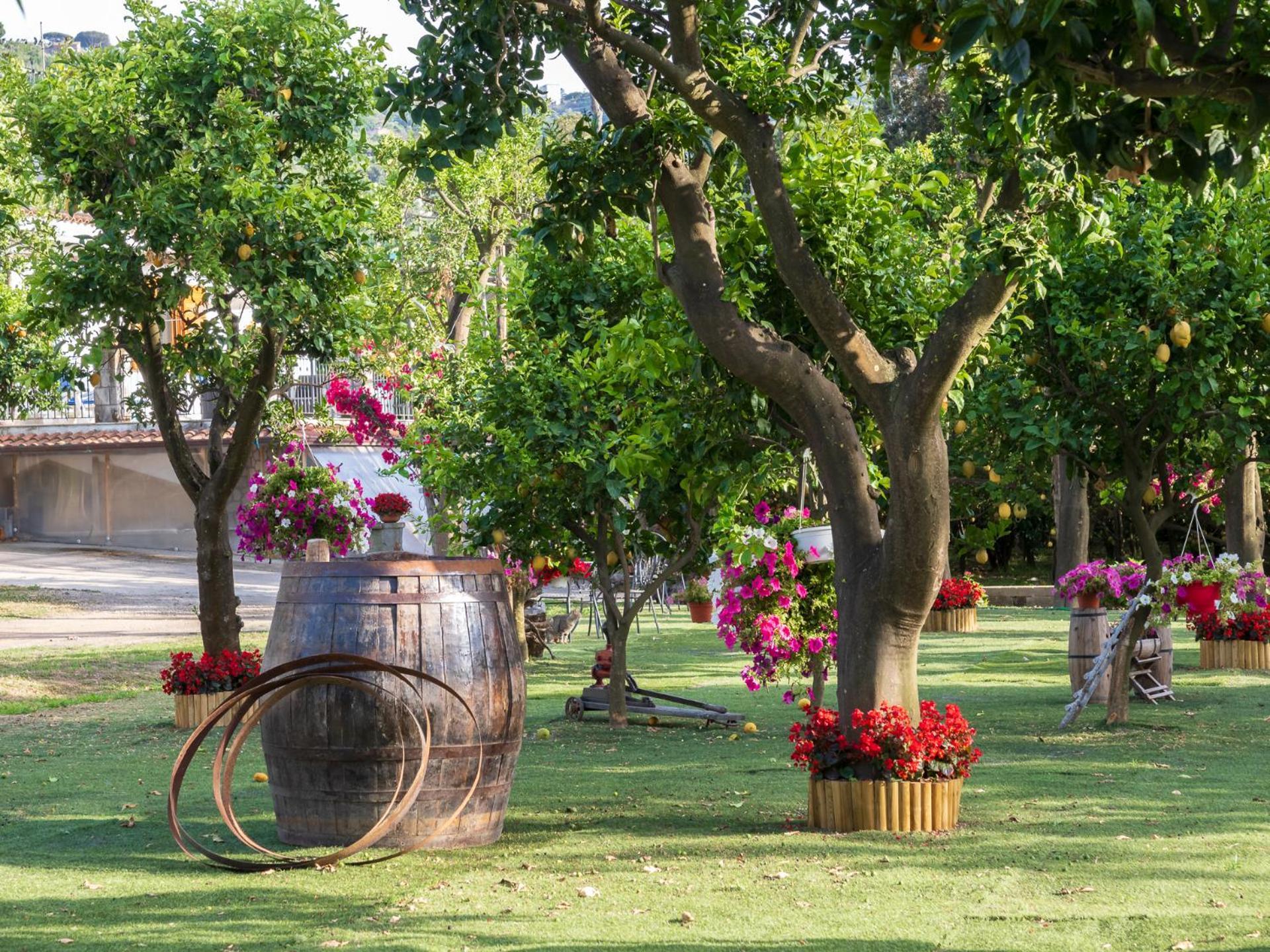 Giardino Di Nonno Lucio - Surrounded By Lemon Tree Villa Piano di Sorrento Buitenkant foto