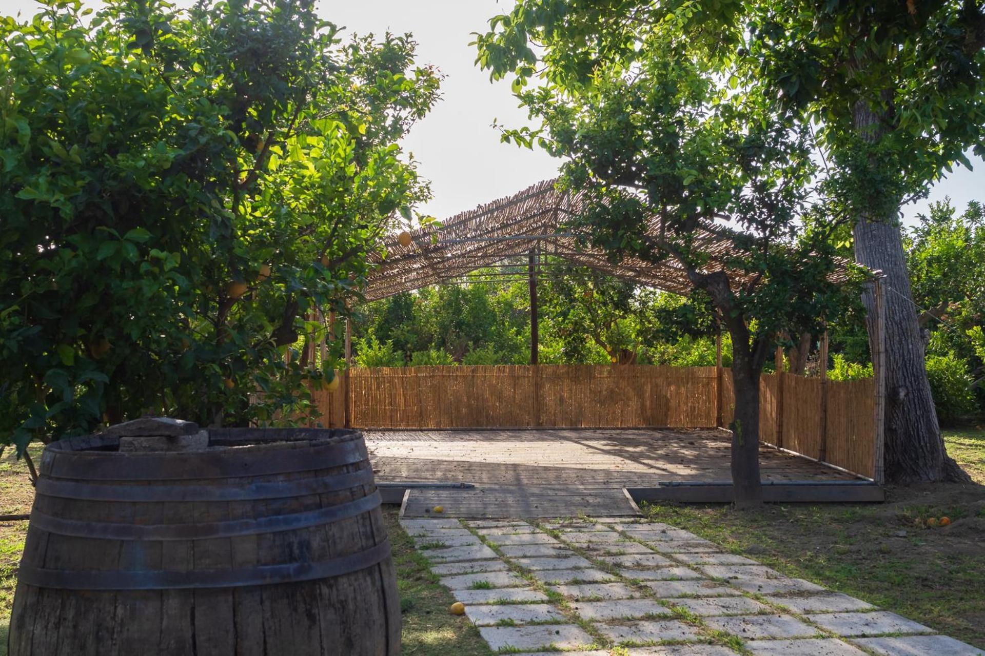 Giardino Di Nonno Lucio - Surrounded By Lemon Tree Villa Piano di Sorrento Buitenkant foto