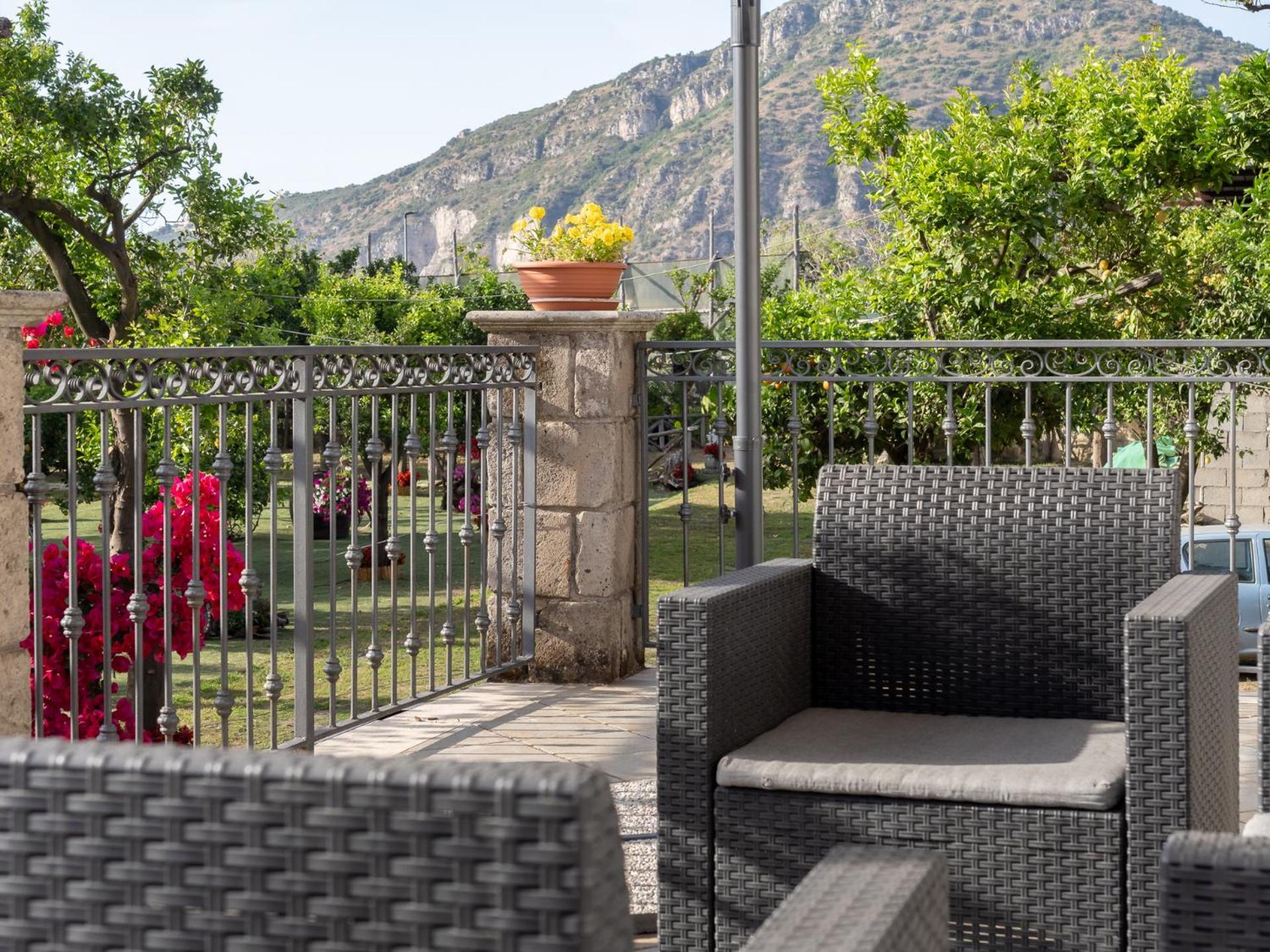 Giardino Di Nonno Lucio - Surrounded By Lemon Tree Villa Piano di Sorrento Buitenkant foto