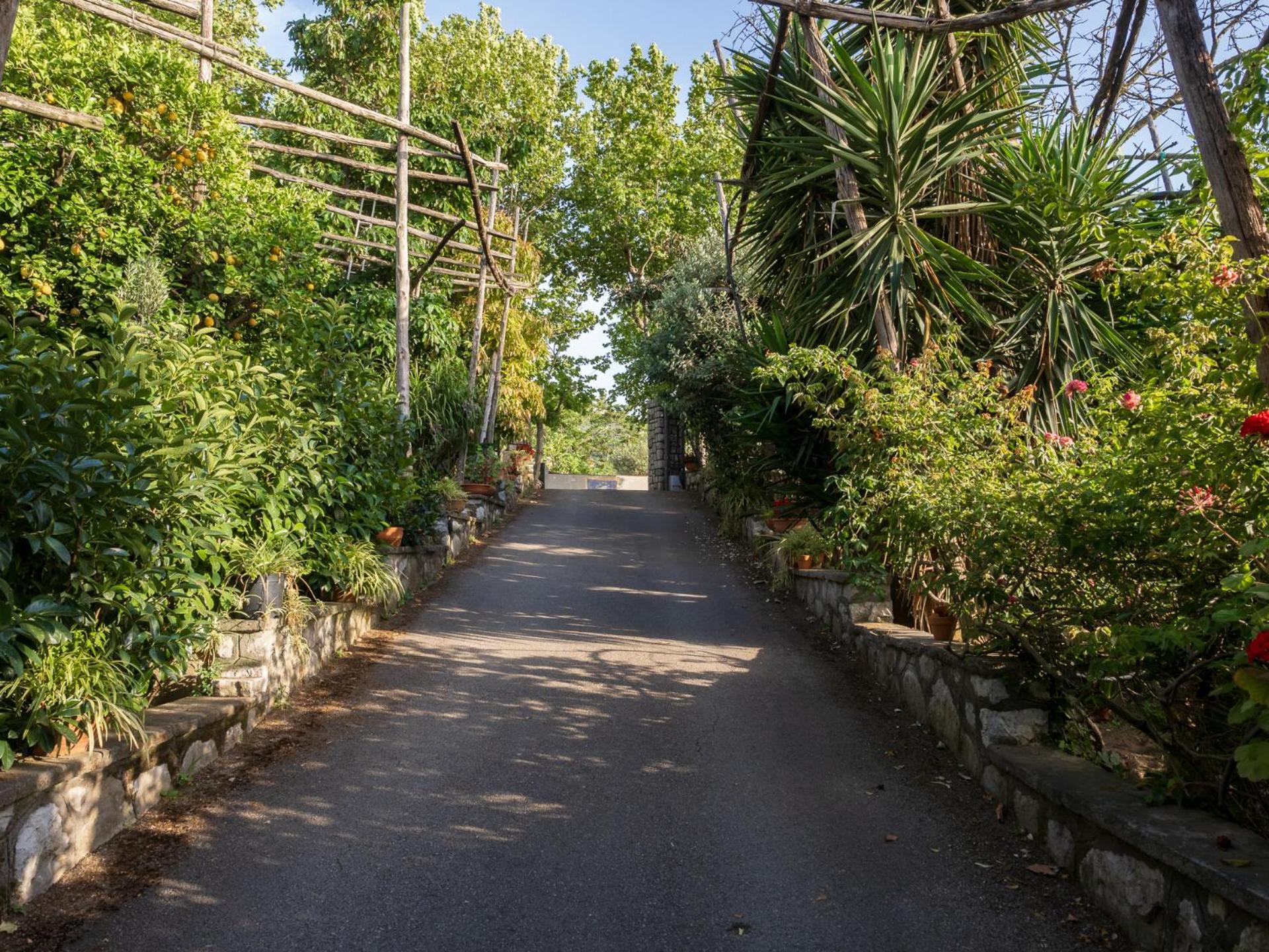 Giardino Di Nonno Lucio - Surrounded By Lemon Tree Villa Piano di Sorrento Buitenkant foto